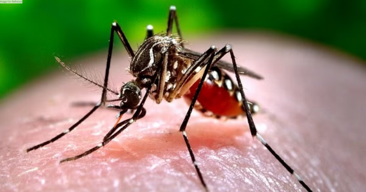 67-year-old Pune man found Zika virus positive